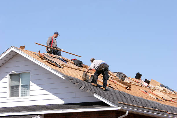 Best Roof Coating and Sealing  in Trevorton, PA